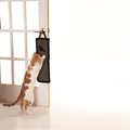 Bpf Door Hanging Sisal Scratch Pad; Grey BP105964